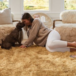 Chicago Ochre Shagpile Rugs UK Mainland Free Shipping