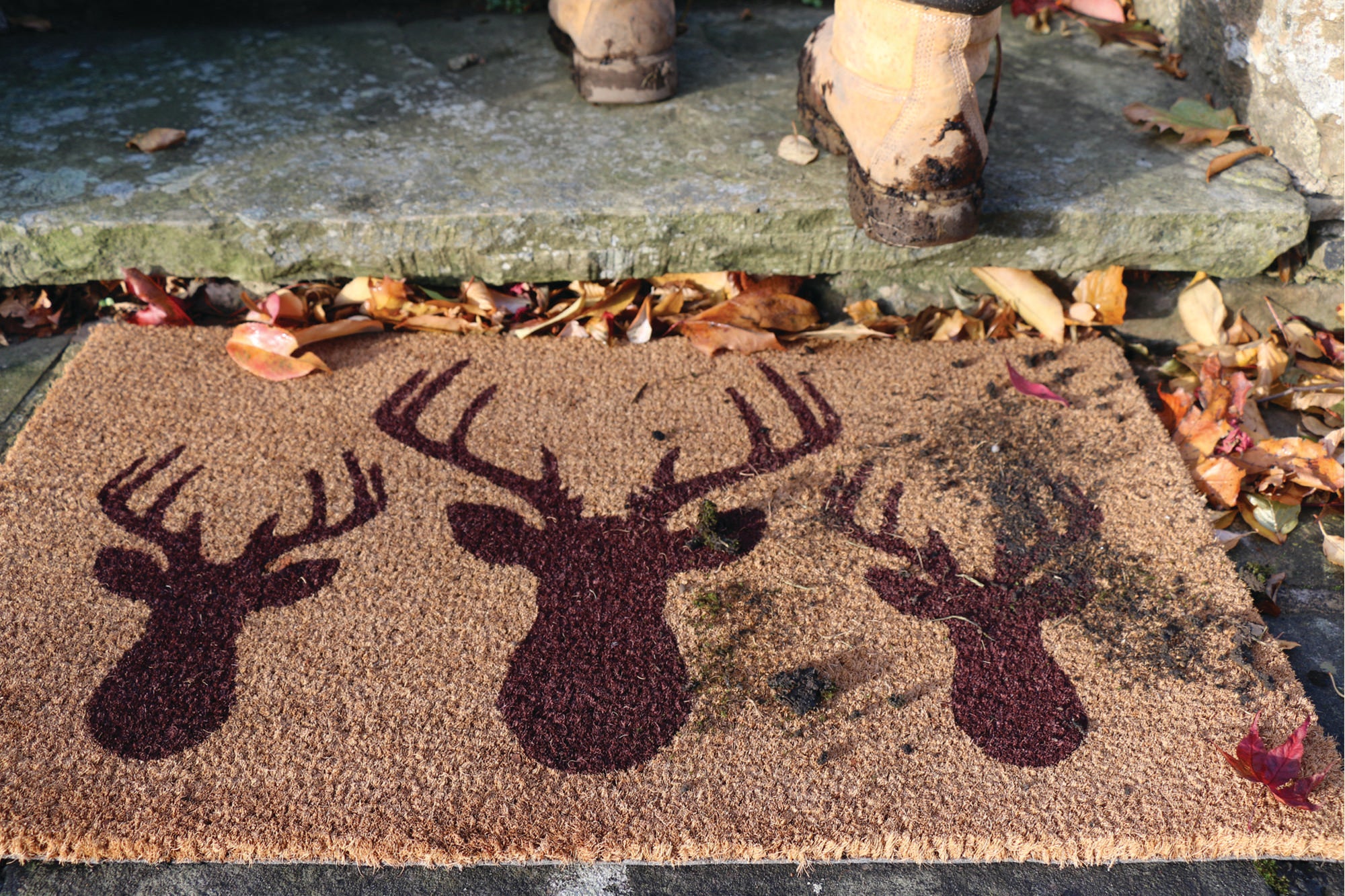 Door Mat Coir – Stags Head Doormats | Runners UK Mainland Free Shipping
