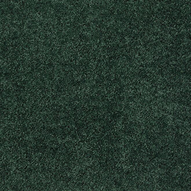 Howler & Scratch Shaggy Rug Forest Green Howler & Scratch | Pet Mats UK Mainland Free Shipping