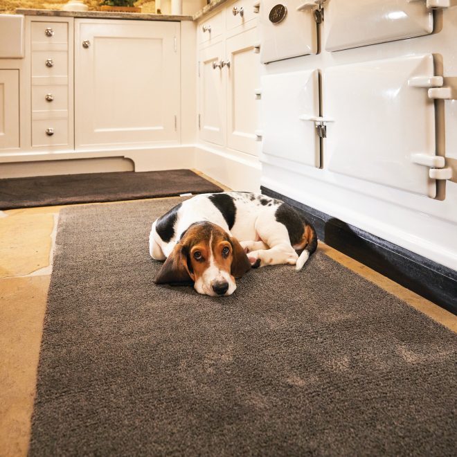 Howler & Scratch Soft Clove Brown Howler & Scratch | Pet Mats UK Mainland Free Shipping