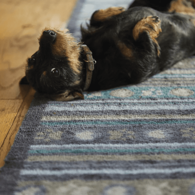 Pet 80 Doormats | Runners UK Mainland Free Shipping
