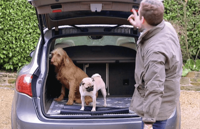 Big Paw 2 – Car Boot Protector Howler & Scratch | Pet Mats UK Mainland Free Shipping