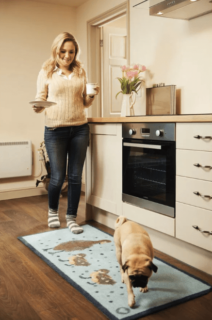 Hug Rug – Ducks 1 Doormats | Runners UK Mainland Free Shipping